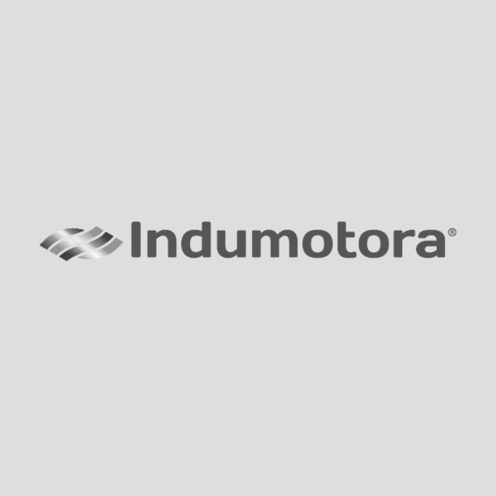 Logo Indumotora